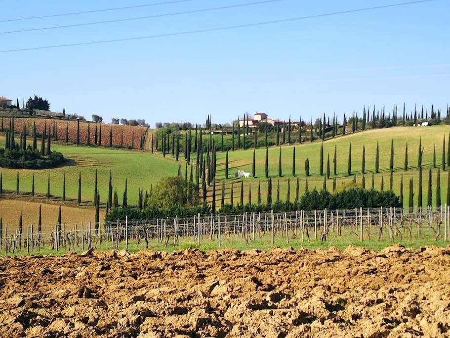 Castello Di Fulignano Ildebrando Superior Apartment ซานจีมิญญาโน ภายนอก รูปภาพ